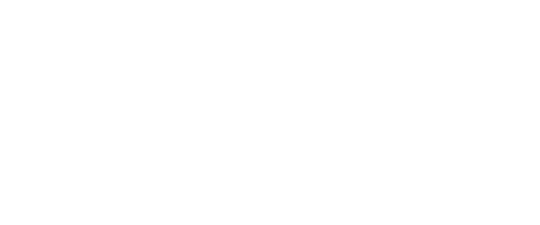 FIS_logo
