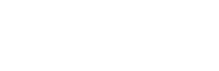 Visa_logo